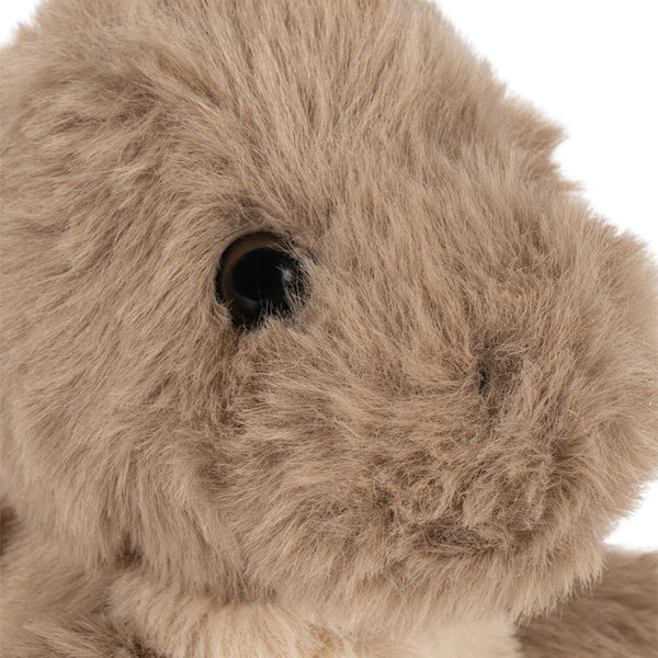 Magical Animals Drage i Beige