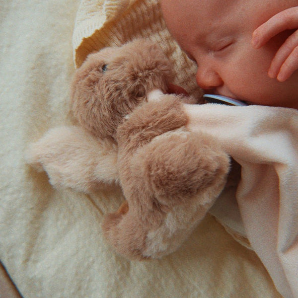 Sleepy Animals Nusseklud med Drage