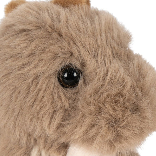 Sleepy Animals Nusseklud med Drage