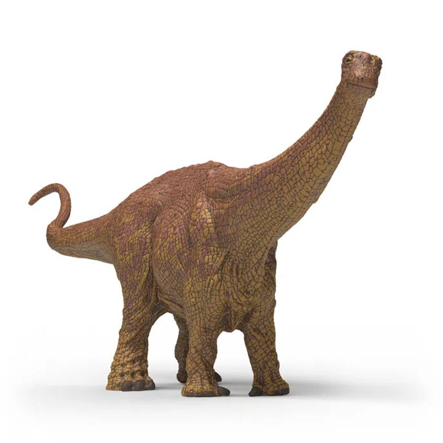 Brontosaurus