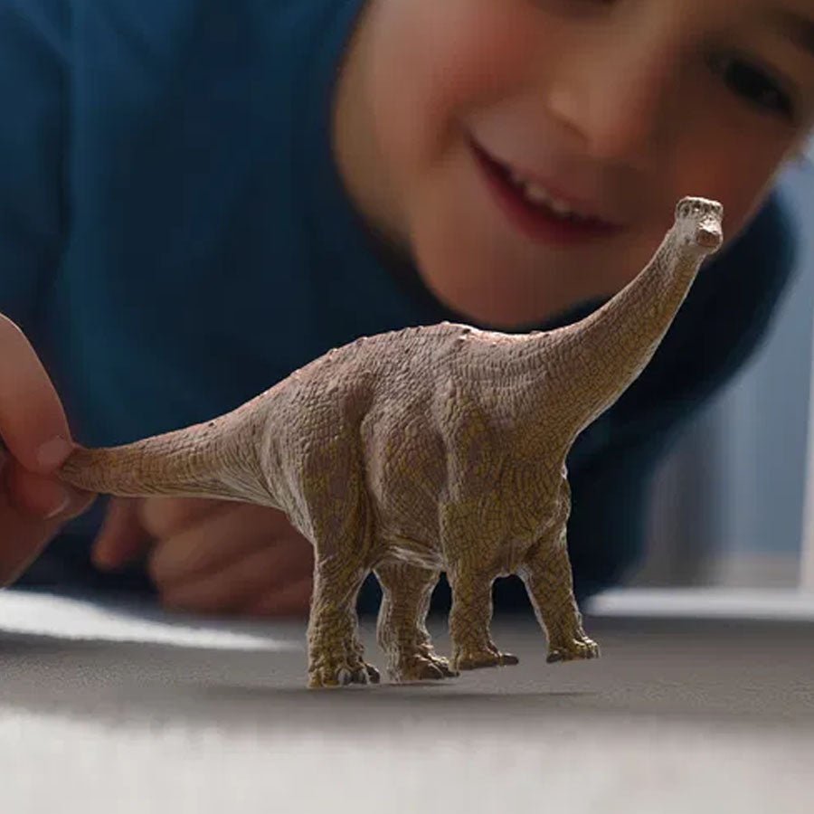 Brontosaurus