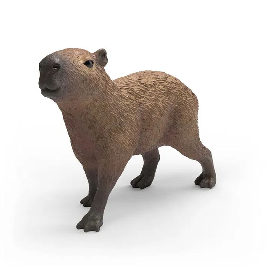 Capybara