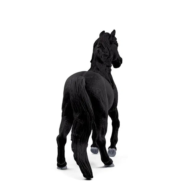 Lusitano Hingst