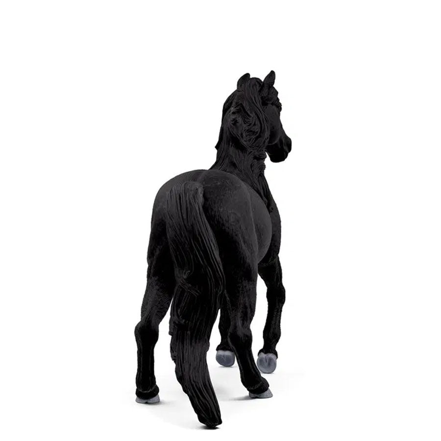 Lusitano Hingst