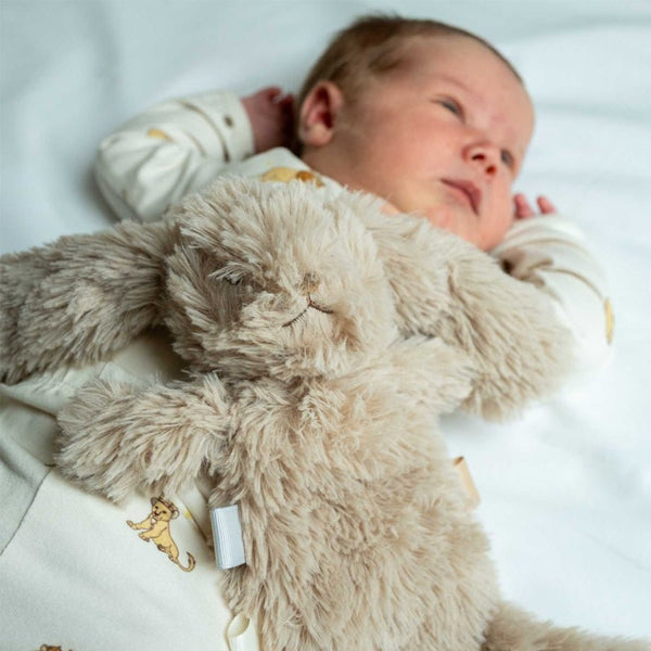 That's Mine Houston Heavy Teddy, Mini - Bunny