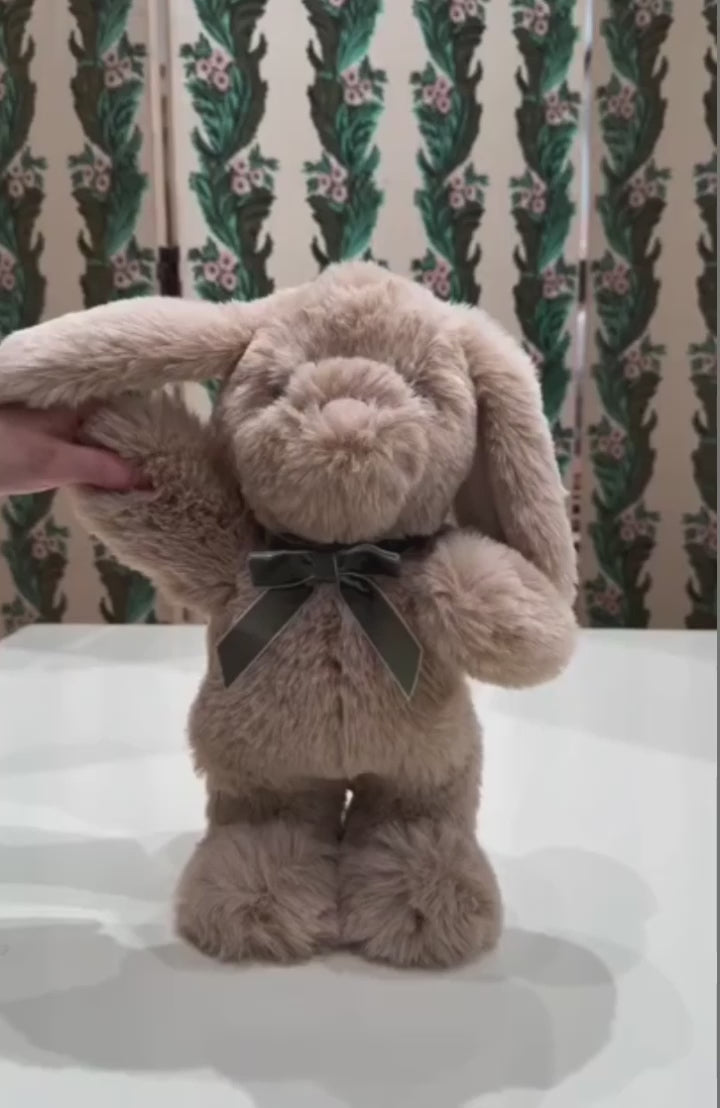 Video laden: Tanzender und Sprechender Hase