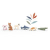 Tiere aus Ozeanien