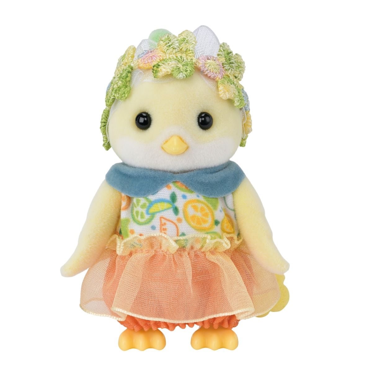 Familien Citrus Fugl